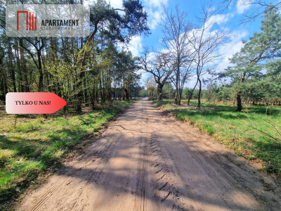 Działka w Szkocji Głusza Las Rzeka - Szkocja  -
Kujawsko-Pomorskie Zdjęcie nr 10