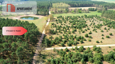 Działka w Szkocji Głusza Las Rzeka - Szkocja  -
Kujawsko-Pomorskie Zdjęcie nr 12