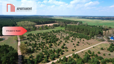 Działka w Szkocji Głusza Las Rzeka - Szkocja  -
Kujawsko-Pomorskie Zdjęcie nr 13