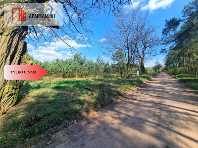 Działka w Szkocji Głusza Las Rzeka - Szkocja  -
Kujawsko-Pomorskie Zdjęcie nr 2