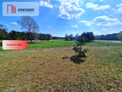 Działka w Szkocji Głusza Las Rzeka - Szkocja  -
Kujawsko-Pomorskie Zdjęcie nr 3