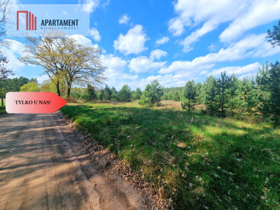 Działka w Szkocji Głusza Las Rzeka - Szkocja  -
Kujawsko-Pomorskie Zdjęcie nr 5