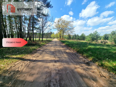 Działka w Szkocji Głusza Las Rzeka - Szkocja  -
Kujawsko-Pomorskie Zdjęcie nr 7