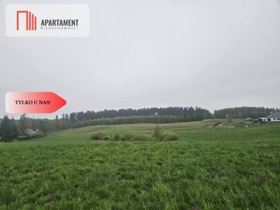 RYWAŁD- działka budowlana  3119m2 - Rywałd  -
Pomorskie Zdjęcie nr 2