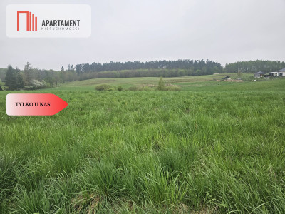 RYWAŁD- działka budowlana  3119m2 - Rywałd  -
Pomorskie Zdjęcie nr 3