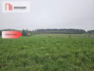 RYWAŁD- działka budowlana  3119m2 - Rywałd  -
Pomorskie Zdjęcie nr 7