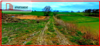 Działki inwestycyjne budowlane - Rgielsko  - Wielkopolskie