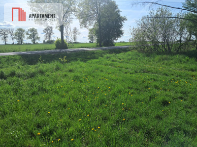 Dwie działki rolne  22 ha Górzna - Górzna  - Wielkopolskie