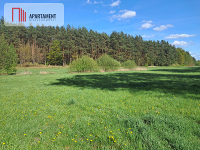 Dwie działki rolne  22 ha Górzna - Górzna  -
Wielkopolskie Zdjęcie nr 2