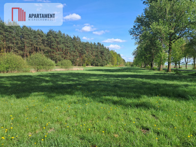 Dwie działki rolne  22 ha Górzna - Górzna  -
Wielkopolskie Zdjęcie nr 5