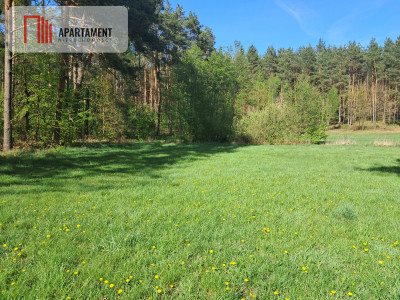 Dwie działki rolne  22 ha Górzna - Górzna  -
Wielkopolskie Zdjęcie nr 7