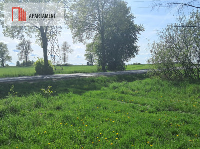 Dwie działki rolne  22 ha Górzna - Górzna  -
Wielkopolskie Zdjęcie nr 8