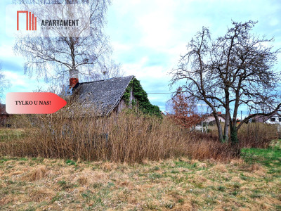 Działka budowlana z drewnianym domkiemTylko u nas - Śliwiczki  -
Kujawsko-Pomorskie Zdjęcie nr 10