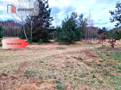 Działka budowlana z drewnianym domkiemTylko u nas - Śliwiczki  -
Kujawsko-Pomorskie Zdjęcie nr 11