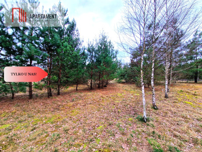 Działka budowlana z drewnianym domkiemTylko u nas - Śliwiczki  -
Kujawsko-Pomorskie Zdjęcie nr 12