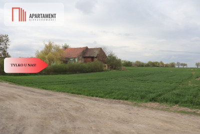 Duża działka 115 ha z zabudowaniami - Wilków Średzki  -
Dolnośląskie Zdjęcie nr 2