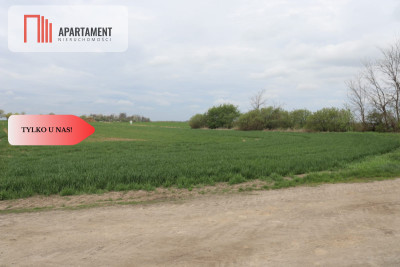 Duża działka 115 ha z zabudowaniami - Wilków Średzki  -
Dolnośląskie Zdjęcie nr 3