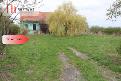 Duża działka 115 ha z zabudowaniami - Wilków Średzki  -
Dolnośląskie Zdjęcie nr 4