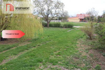 Duża działka 115 ha z zabudowaniami - Wilków Średzki  -
Dolnośląskie Zdjęcie nr 5