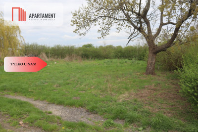 Duża działka 115 ha z zabudowaniami - Wilków Średzki  -
Dolnośląskie Zdjęcie nr 6