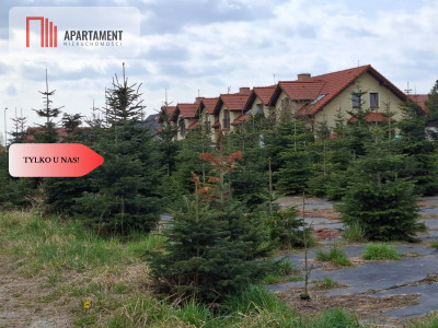 2900 mkw Idealnie pod inwestycję - Kiełczów  -
Dolnośląskie Zdjęcie nr 7