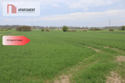 Działka rolna 095 haWilków ŚredzkiDobry dojazd - Wnorów  -
Dolnośląskie Zdjęcie nr 3