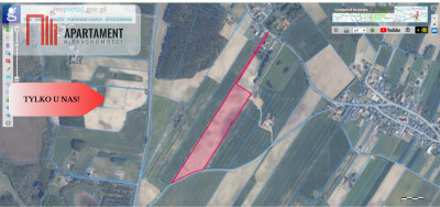 Tylko u nas - działka rolna - Dąbrówka  - Pomorskie