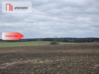 Tylko u nas - działka rolna - Dąbrówka  -
Pomorskie Zdjęcie nr 2
