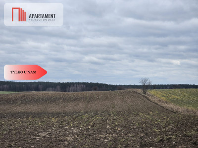 Tylko u nas - działka rolna - Dąbrówka  -
Pomorskie Zdjęcie nr 3