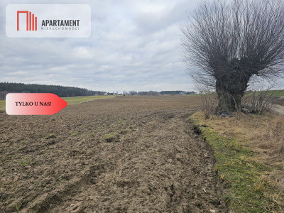 Tylko u nas - działka rolna - Dąbrówka  -
Pomorskie Zdjęcie nr 5