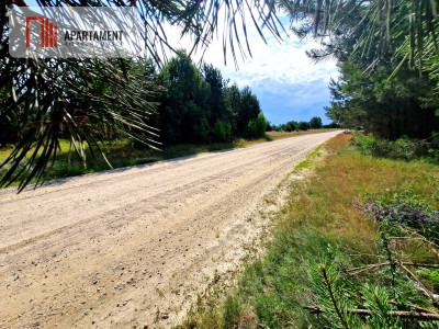 Wymarzone miejsce na  Twój dom w otulinie sosen - Rytel  -
Pomorskie Zdjęcie nr 2