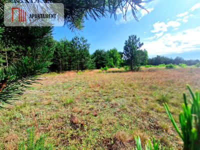 Wymarzone miejsce na  Twój dom w otulinie sosen - Rytel  -
Pomorskie Zdjęcie nr 5