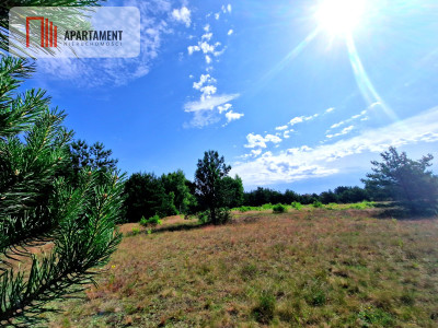 Wymarzone miejsce na  Twój dom w otulinie sosen - Rytel  -
Pomorskie Zdjęcie nr 6