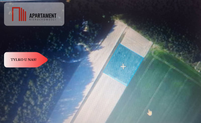 TYLKO U NAS  ATRAKCYJNA DZIALKA WSRÓD LASU - Borówno  -
Kujawsko-Pomorskie Zdjęcie nr 6