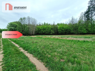 Gospodarstwo w głuszy Las Rzeka - Tomkowo  -
Kujawsko-Pomorskie Zdjęcie nr 4