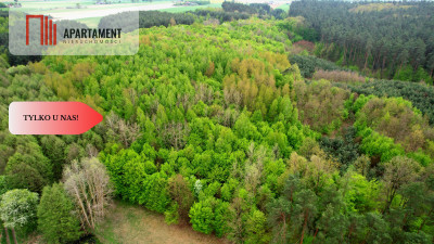 Gospodarstwo w głuszy Las Rzeka - Tomkowo  -
Kujawsko-Pomorskie Zdjęcie nr 6