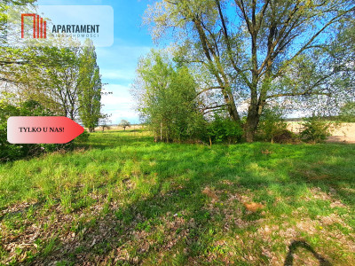 Tylko u nas Działka w Mamliczu - Mamlicz  -
Kujawsko-Pomorskie Zdjęcie nr 4