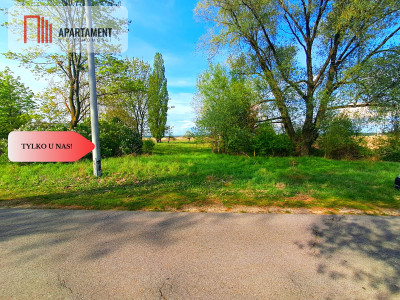 Tylko u nas Działka w Mamliczu - Mamlicz  -
Kujawsko-Pomorskie Zdjęcie nr 5