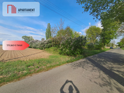 Tylko u nas Działka w Mamliczu - Mamlicz  -
Kujawsko-Pomorskie Zdjęcie nr 8