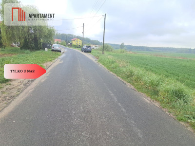 Duża działka w cichej okolicy - powiat wołowski  -
Dolnośląskie Zdjęcie nr 6