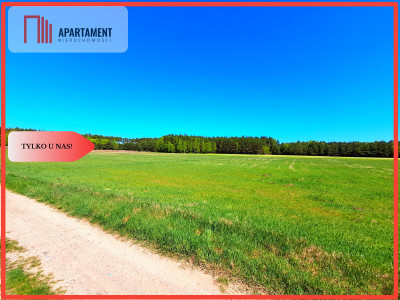  Działka w gminie Łabiszyn - Klotyldowo  - Kujawsko-Pomorskie