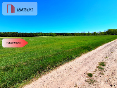  Działka w gminie Łabiszyn - Klotyldowo  -
Kujawsko-Pomorskie Zdjęcie nr 2