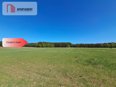  Działka w gminie Łabiszyn - Klotyldowo  -
Kujawsko-Pomorskie Zdjęcie nr 4