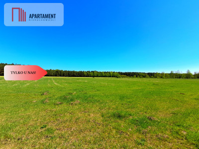  Działka w gminie Łabiszyn - Klotyldowo  -
Kujawsko-Pomorskie Zdjęcie nr 5