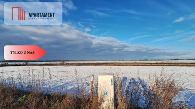 Kompleks 8 działek budowlanych   110a ziemi - Boruchowo  -
Wielkopolskie Zdjęcie nr 3