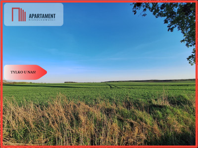 Kompleks 8 działek budowlanych   110a ziemi - Boruchowo  -
Wielkopolskie Zdjęcie nr 8