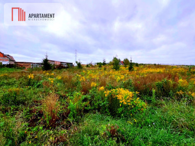 Działki w Kolinczu z dala od ulicy - Kolincz  -
Pomorskie Zdjęcie nr 3