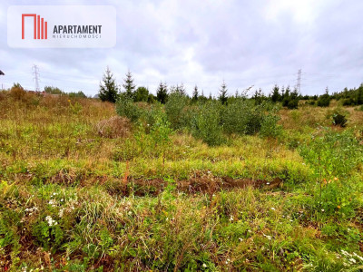 Działki w Kolinczu z dala od ulicy - Kolincz  -
Pomorskie Zdjęcie nr 6