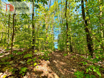 Działki przy jeziorze WIERZCHUCINEK - Wierzchucinek  -
Kujawsko-Pomorskie Zdjęcie nr 2