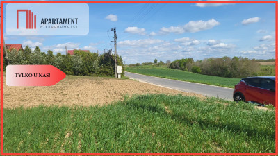 Działki Rolne Śmielin - Śmielin  - Kujawsko-Pomorskie